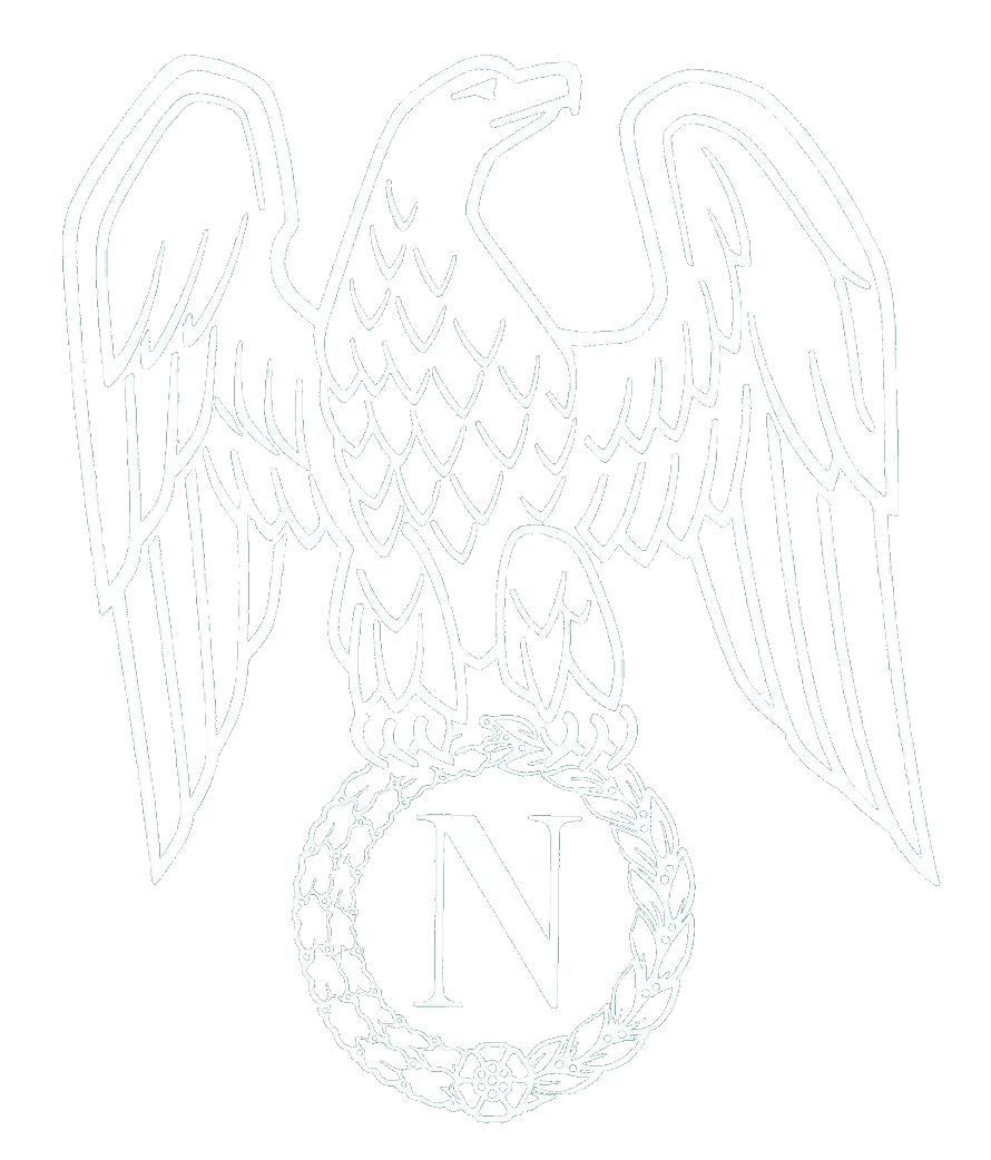 Logo route de Napoléon